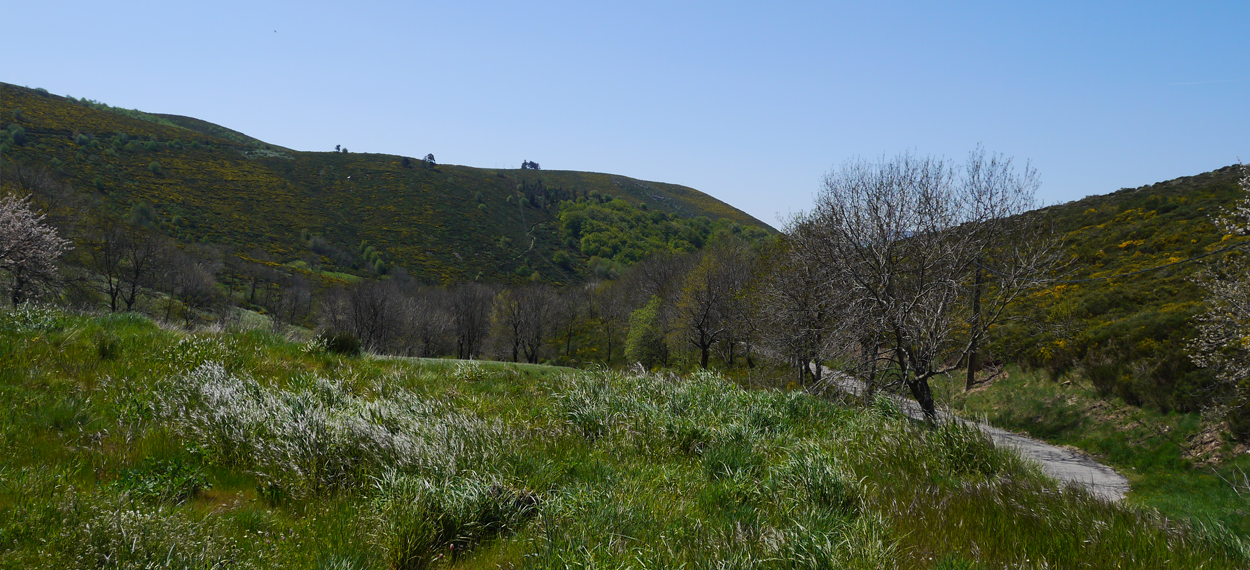 prairie